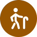 Geriatric Psychology